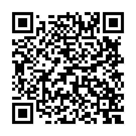 QR code for SN3867