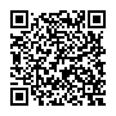 QR code for SN4917