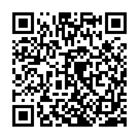 QR code for SN9913