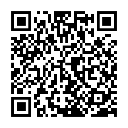 QR code for SN9929