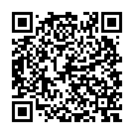 QR code for SO6655
