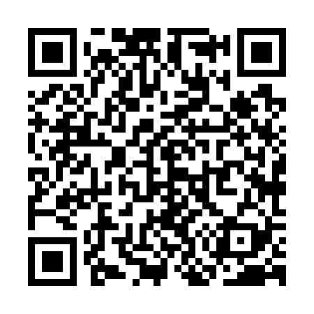 QR code for SO8729