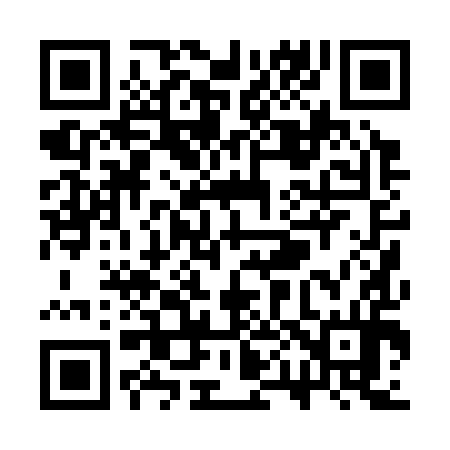 QR code for SP0394
