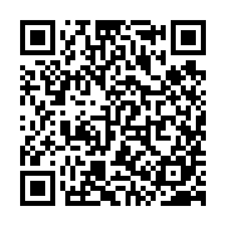 QR code for SP9685