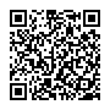 QR code for SP9719