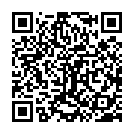 QR code for SR0538