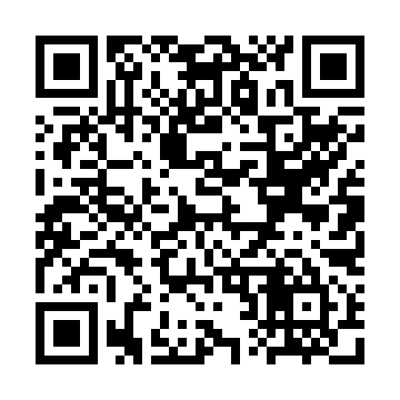QR code for SR4295