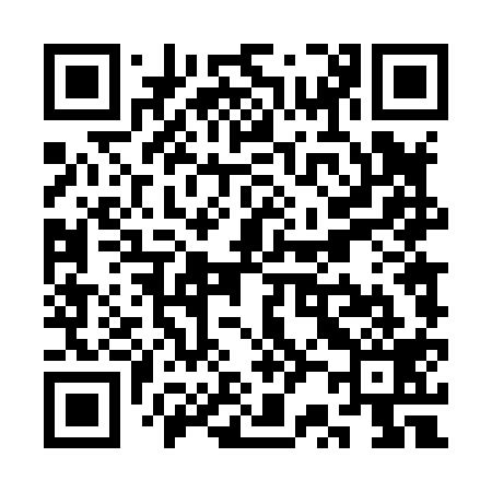 QR code for SR4819