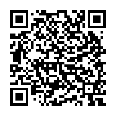 QR code for SS0290
