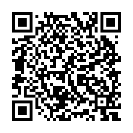 QR code for SS0293