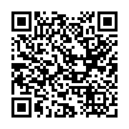 QR code for SS0333