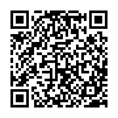 QR code for SS0384