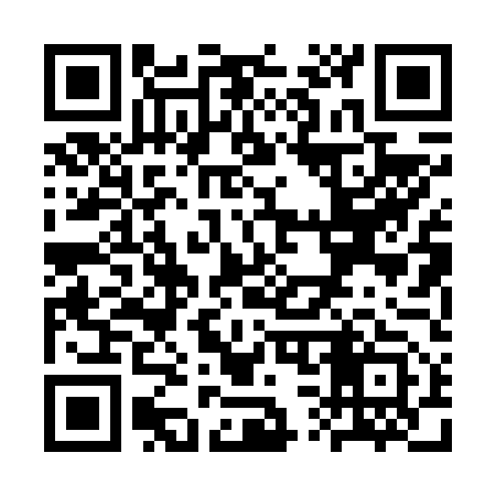 QR code for SS0653