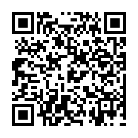 QR code for SS6383