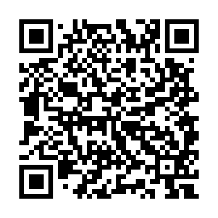 QR code for SS6593
