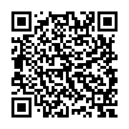QR code for SS6994