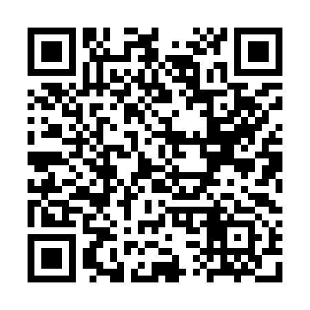 QR code for SS8993