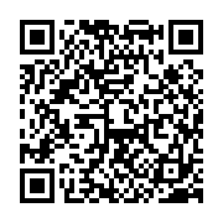 QR code for SS9133