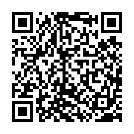 QR code for ST0613