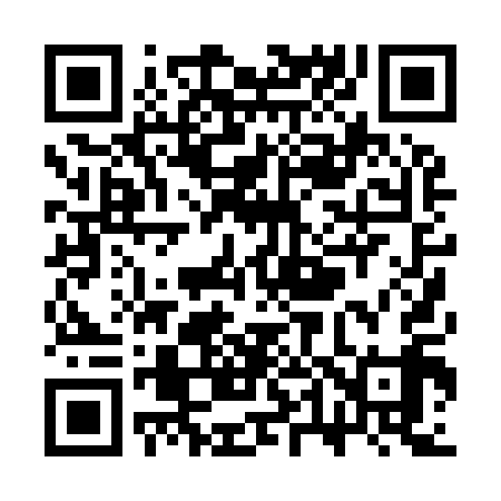 QR code for ST0919