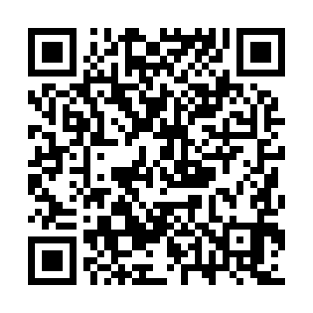 QR code for ST0991