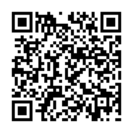 QR code for ST4729