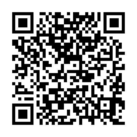 QR code for ST6991