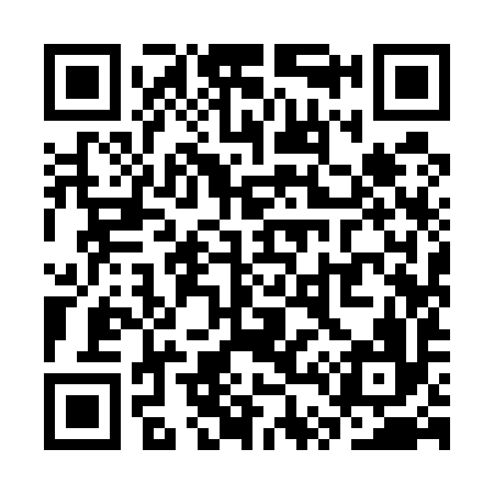 QR code for ST9596
