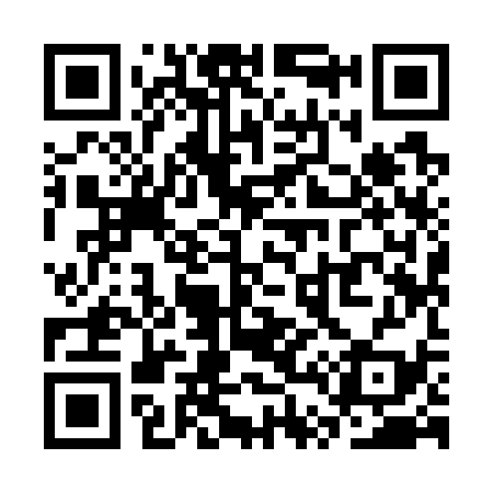QR code for ST9739