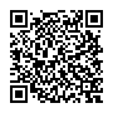 QR code for SV0173