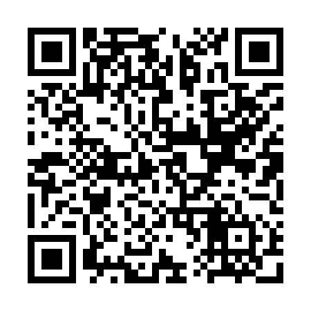 QR code for SV0954