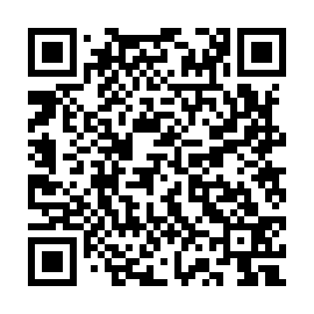 QR code for SV2933