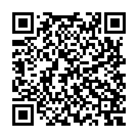 QR code for SV2942