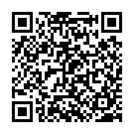 QR code for SV3704