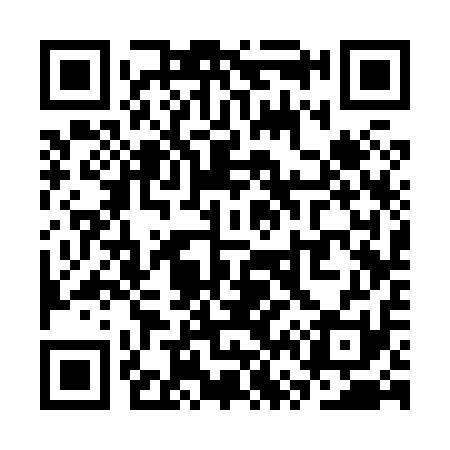 QR code for SV3811