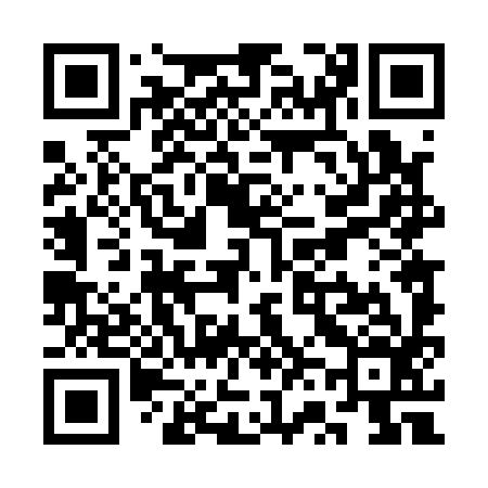 QR code for SV4196