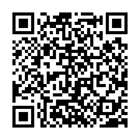 QR code for SV4739