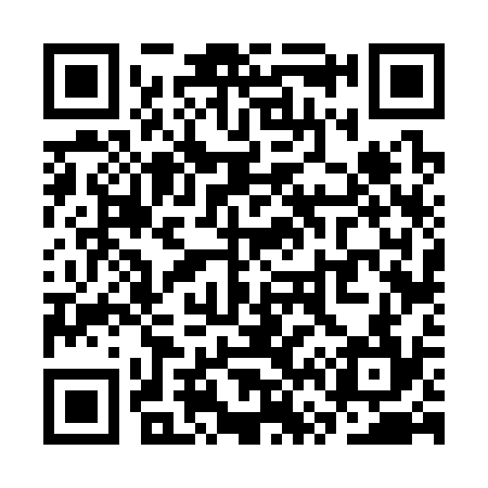 QR code for SV6334