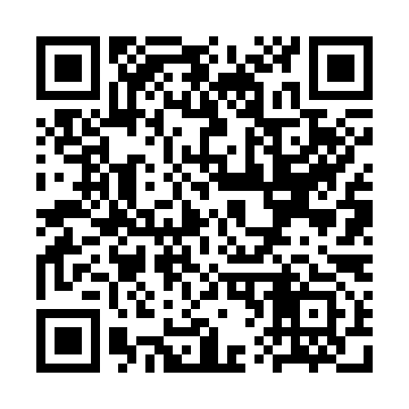 QR code for SV6393