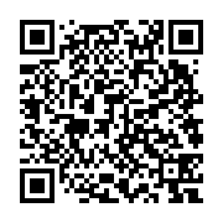 QR code for SV6638