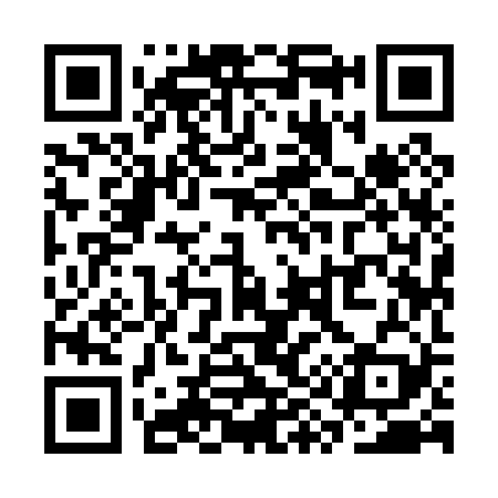 QR code for SY9029