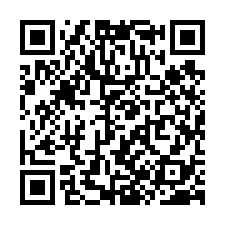 QR code for SZ9638