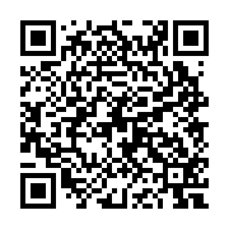 QR code for TF0313
