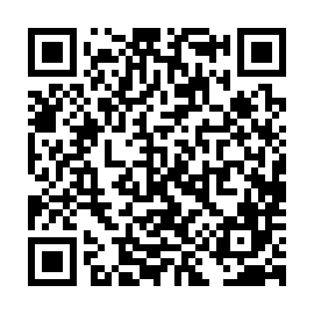 QR code for TI0386