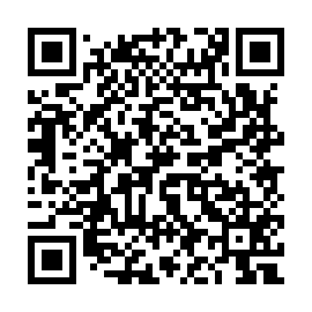 QR code for TI0955