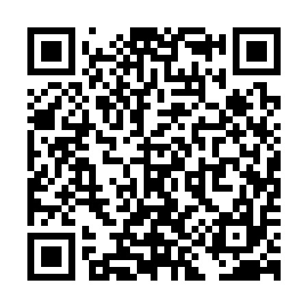 QR code for TI1317