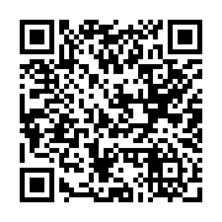 QR code for TI1995