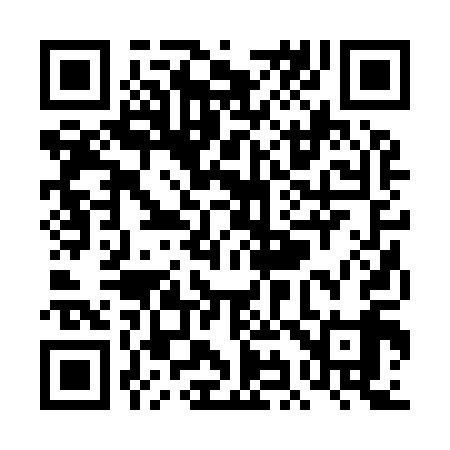 QR code for TI2919