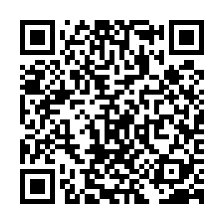 QR code for TI3529