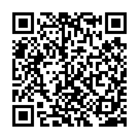 QR code for TI3691